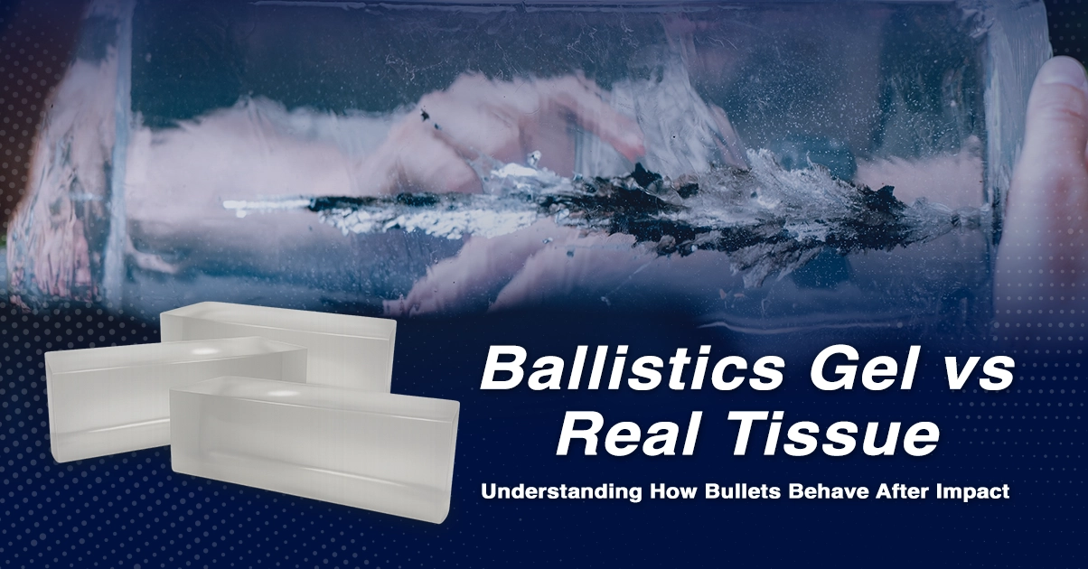Ballistics gel vs real tissue comparison showing bullet impact simulation with clear ballistic gel blocks used to study bullet behavior after impact