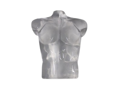 Joe Fit Torso